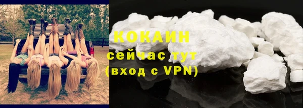 сатива Богородск