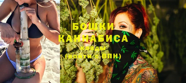 сатива Богородск